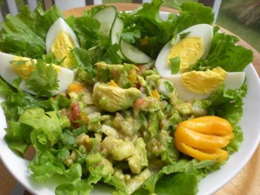 abacate salsa floridanatives e salada de ovo