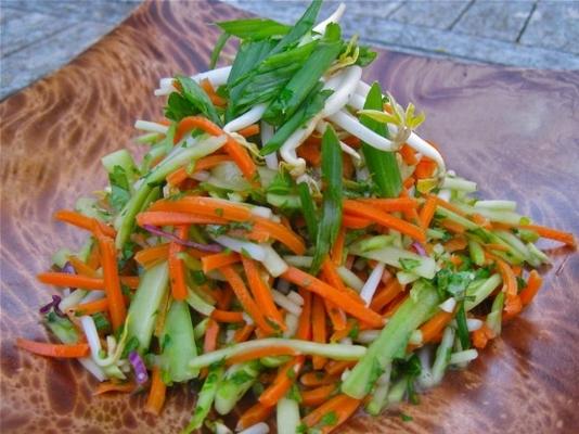vegan cenoura brócolis e salada de broto de feijão