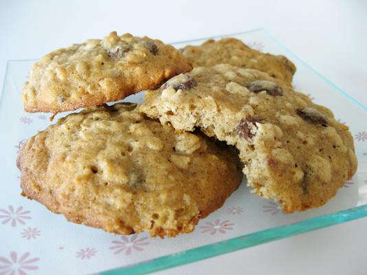 biscoitos de passa de mina newton aveia