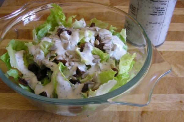 limpeza de salada de dieta de eliminação