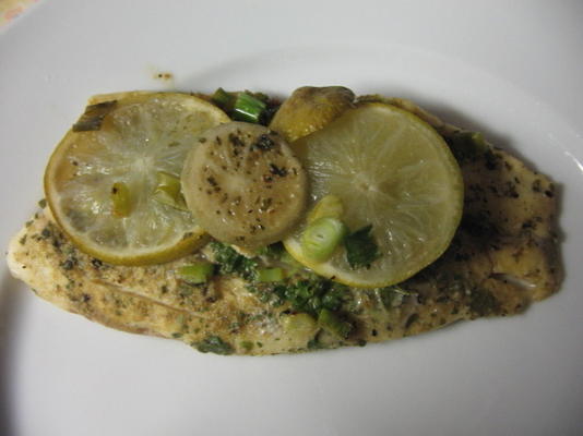 coentro peixe limão