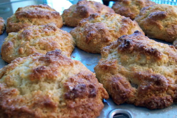 muffins de maçã com creme azedo