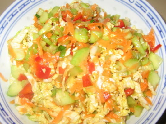 salada de repolho estilo asiático de baixo teor de gordura para dois