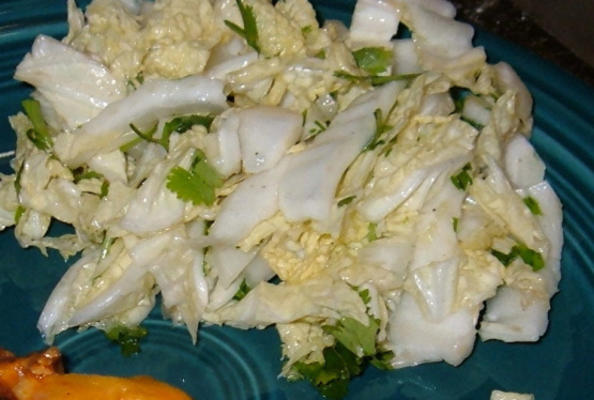 salada de repolho (salada de repolho mexicana)