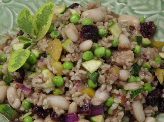 salada de arroz integral com abobrinha, feijão e cerejas secas