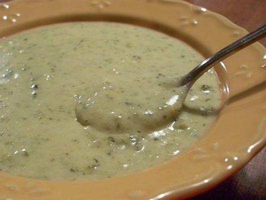 sopa de queijo cheddar de brócolis lenta