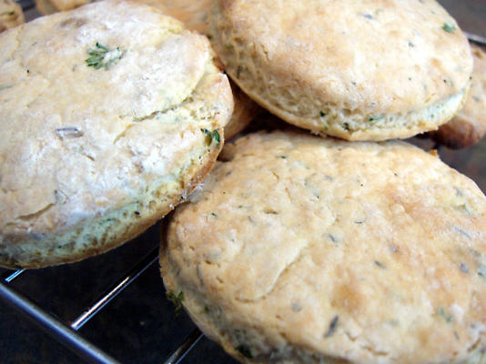 bolinhos britânicos da erva (biscoitos)