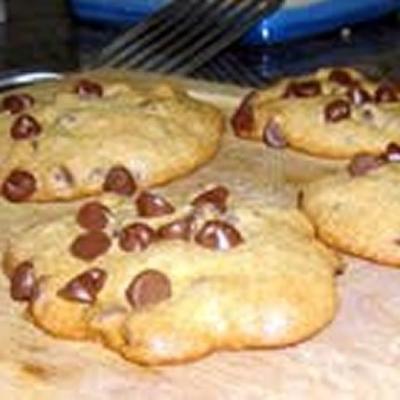 biscoitos de chocolate (usando stevia)