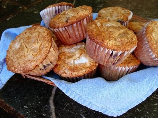 muffins de mirtilo de colina de açúcar