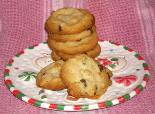 bolinhos de microplaqueta de chocolate nirvana