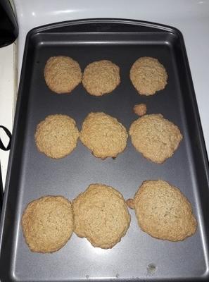 biscoitos de aveia - lactose livre de glúten livre de glúten
