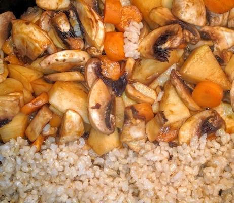 tigela de arroz vegan sassy