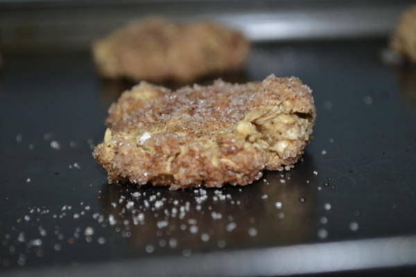 cookies de snickerdoodle de aveia vegan saudável