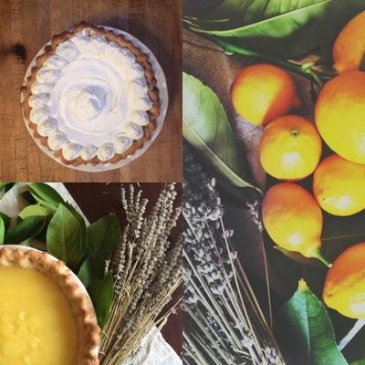 torta de limão com creme de mascarpone de lavanda