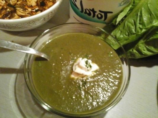 verduras silvestres de forrageiras e cogumelos chiled sopa
