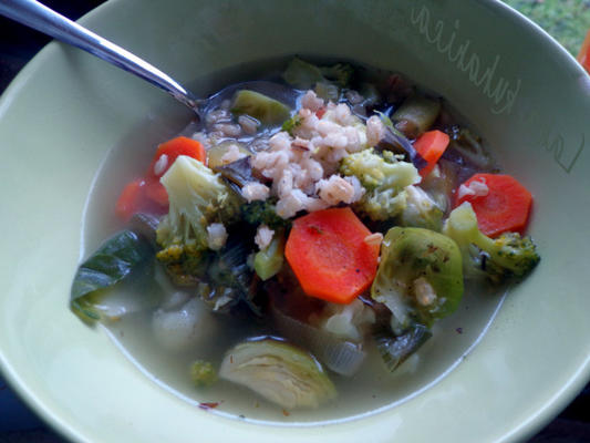 sopa de vegetais de brócolis e cevada