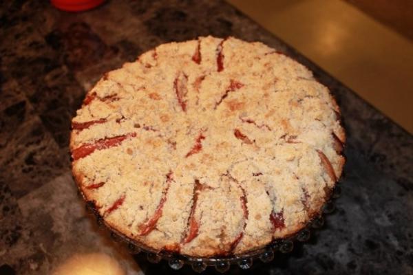 bolo de especiaria de ameixa de alta altitude