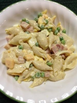 macarrão presunto e queijo salada de verão