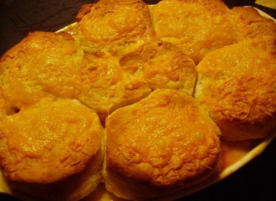 Biscoito coberto com caçarola de frango e brócolis