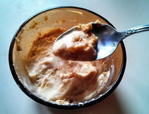 5 minutos de sorvete pbandbanana