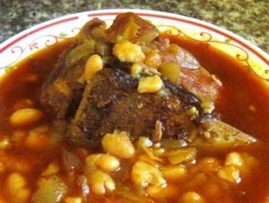 sopa de jahni de feijão albanês para panela de pressão
