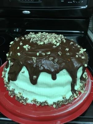 bolo de chocolate de hortelã
