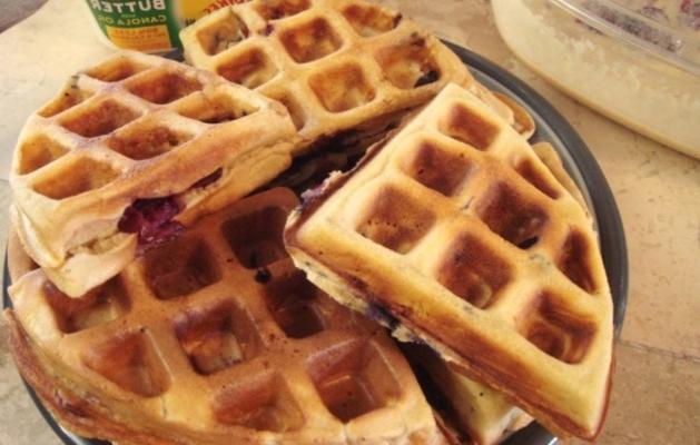 baga de antioxidante waffle