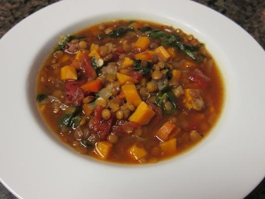 sopa de lentilha vegetariana