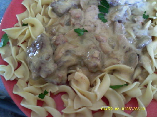strogonoff de carne de bibi