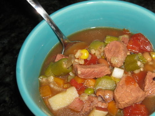 sopa de legumes de carne rápida