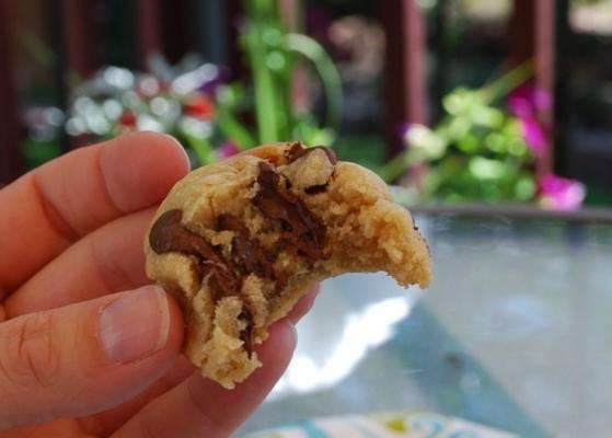 biscoitos de chocolate, carregados