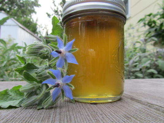 geléia de pepino borragem com gengibre