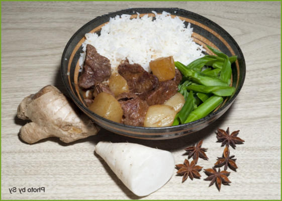 cubos de carne com rabanete daikon estilo szechuan