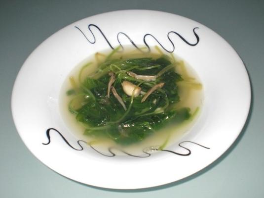 sopa de espinafre momandrsquo com anchovas