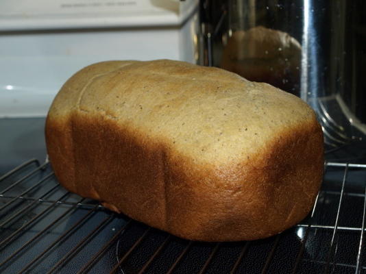 pão de sanduíche de peru (também conhecido como recheio de pão)