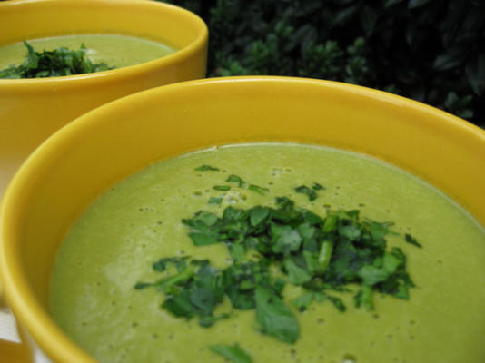 creme vegano de sopa de espinafre