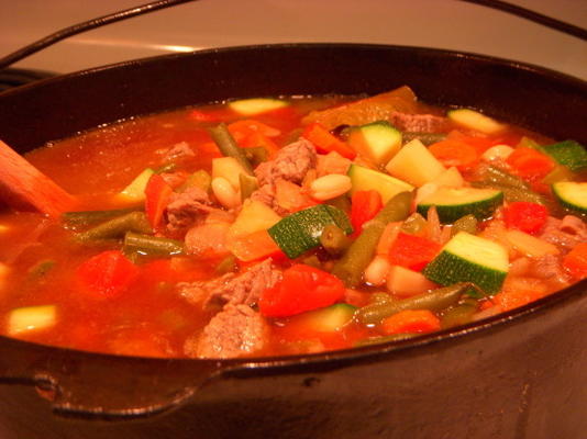 sopa de carne minestrone