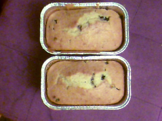 bolo de muffin de mirtilo / pão