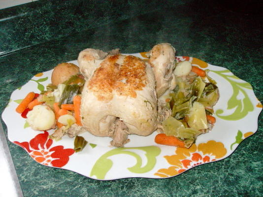 frango em uma panela com alho-poró, cebolinha e nabos