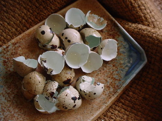 ovos de codorna com sal de aipo