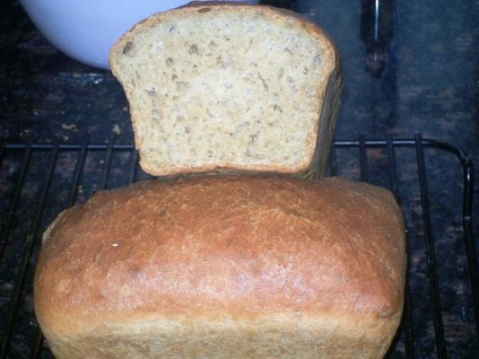 pão de sanduíche crocante de crosta crocante no-knead