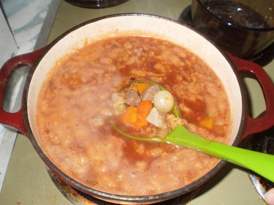 sopa de bife fácil