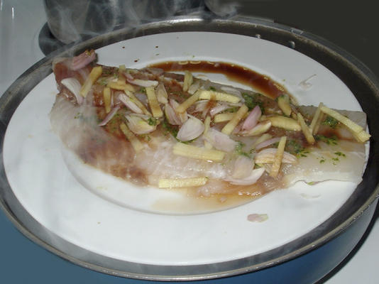 peixe no vapor