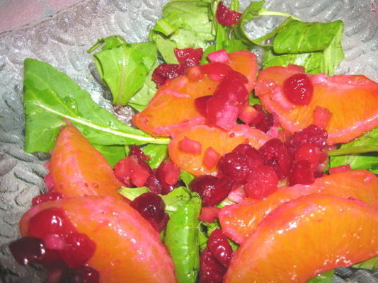 salada fresca de frutas cítricas e oxicoco