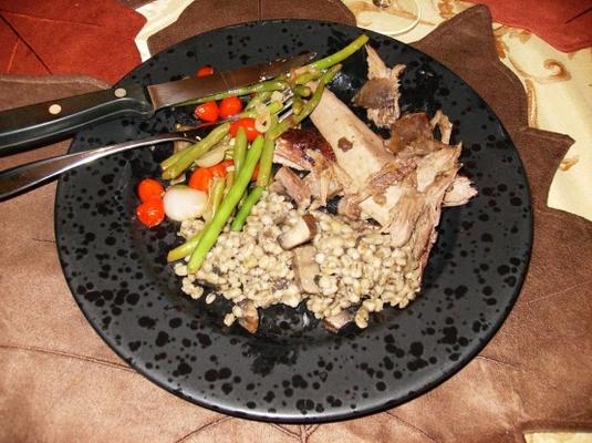 ganso selvagem laranja