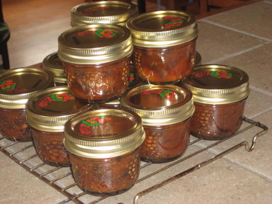 chutney de damasco colheita de verão