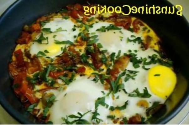 chakchouka argelino cozido solar com ovos