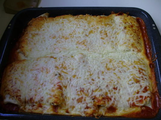 enchiladas de karen