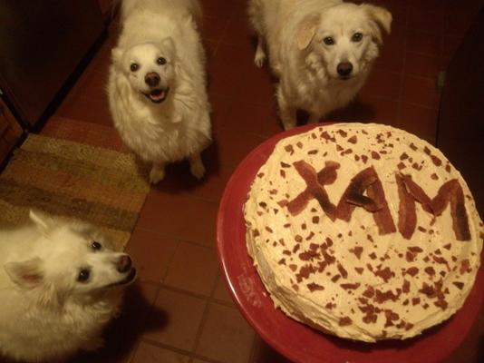 bolo de aniversário do kona k's