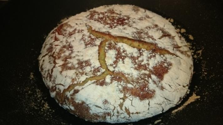 Pão de Milho Fermentado Português-Americano Crocante (sem amassar)